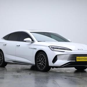 海豹DM 2023款 DM-i 1.5L 121KM尊贵型